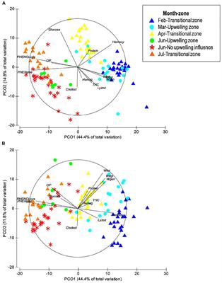 Sea Surface Temperature Modulates Physiological and Immunological Condition of Octopus maya